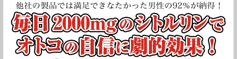 �V�g������2000���T�C�g